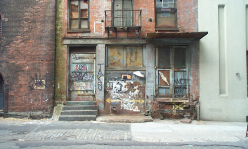 Social Justice Fallacies